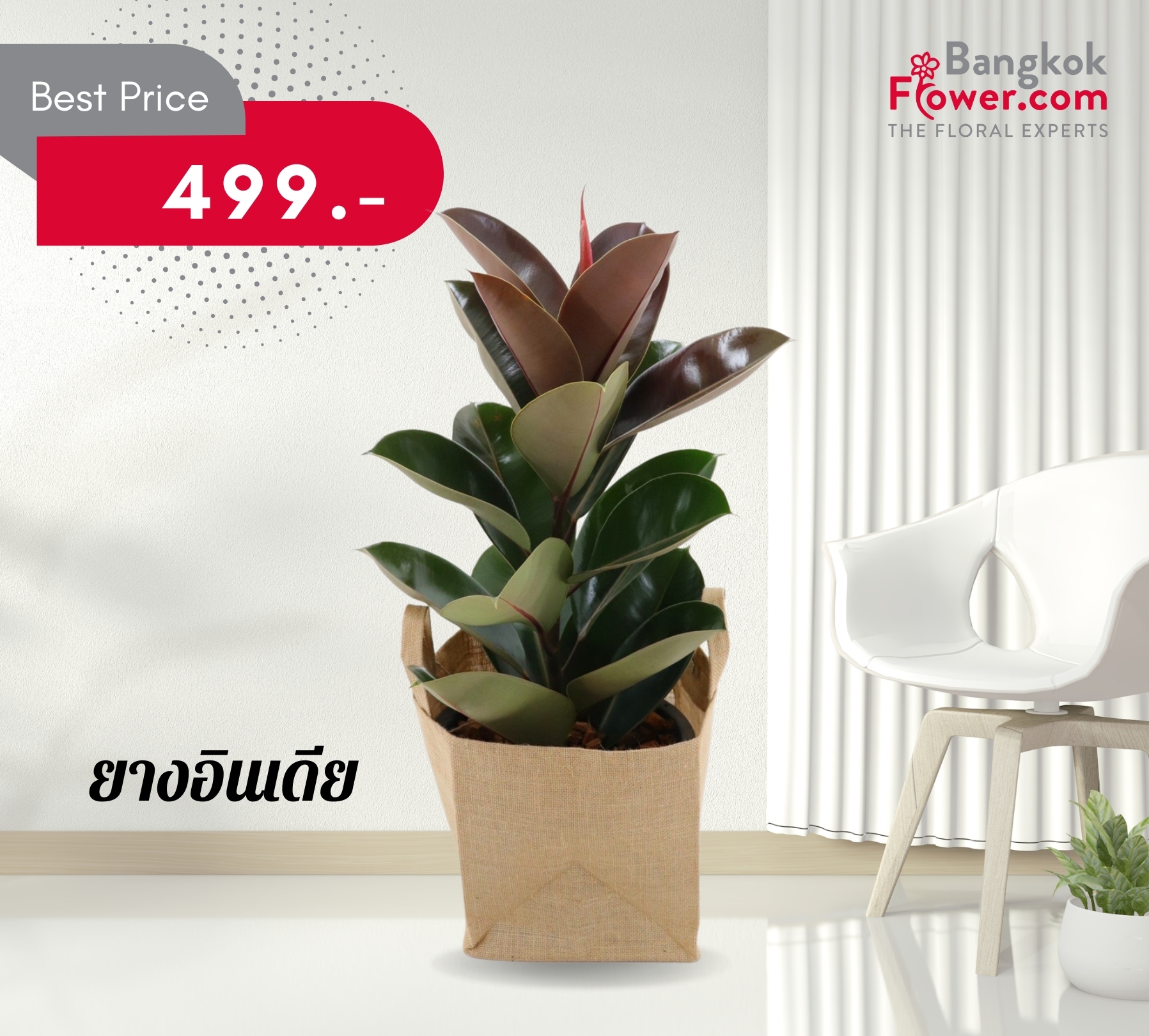 IMG-PRODUCT